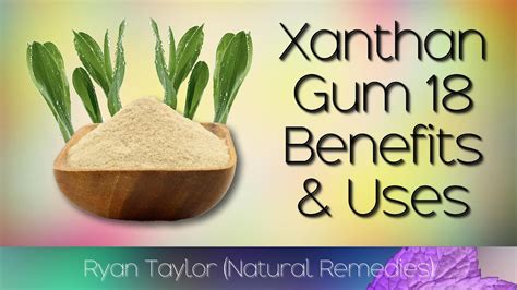 Xanthan gum uses. Things To Know About Xanthan gum uses. 